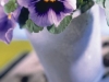 White Rose